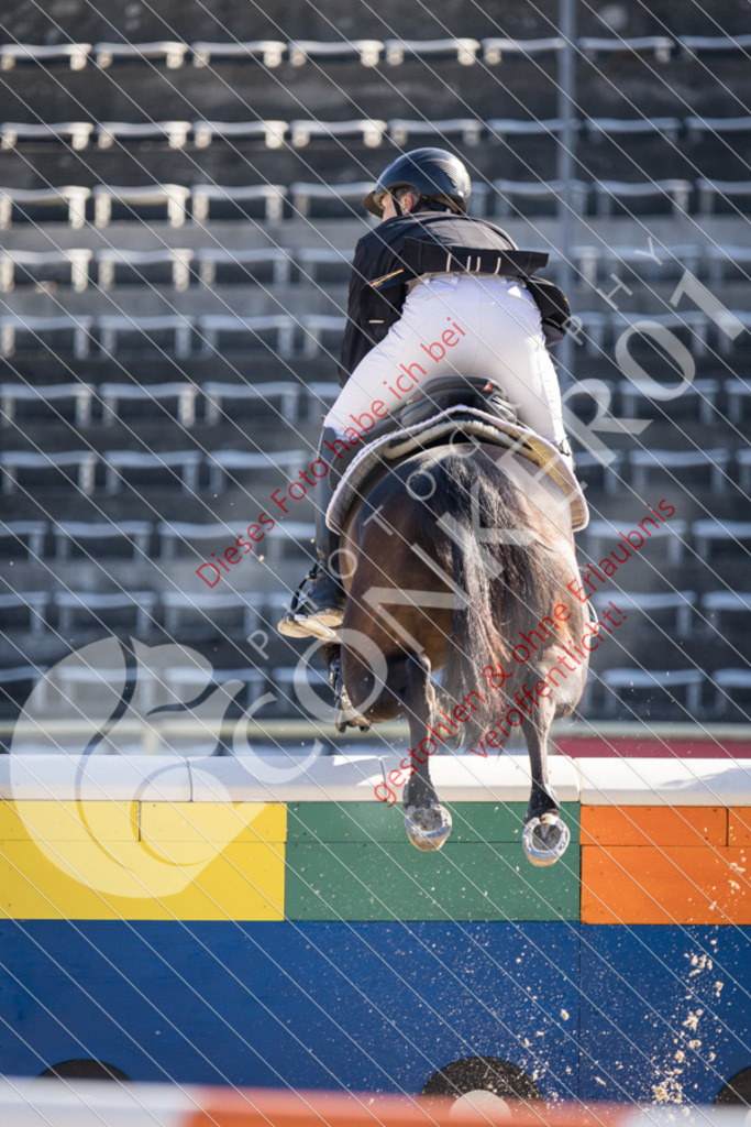 IMG_2930 | Sport-, Event- und Tierfotos in Profiqualität. Einfach auswählen, bestellen und herunterladen. Dein Moment – perfekt festgehalten.