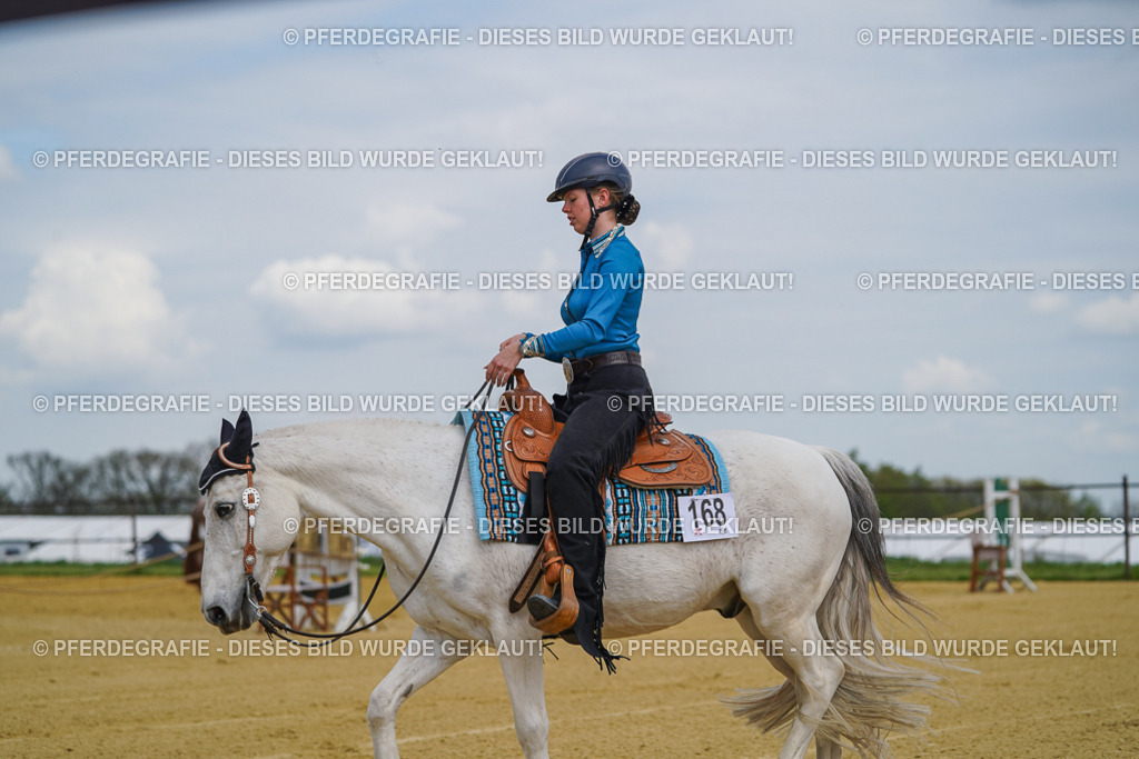 DSC05548 | Pferdegrafie