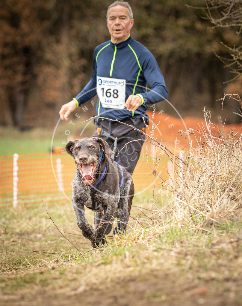 DV3A2200 | Hundefotografie, Tierfotograf, Pfotenfotografie, Fotoshooting Hund, Hunde Portrait, Hundesport, Hundeportraits, Heideshooting, Hunde, Sportfotograf, Hundefotograf, Turnierhundsport, THS,  - Realisiert mit Pictrs.com