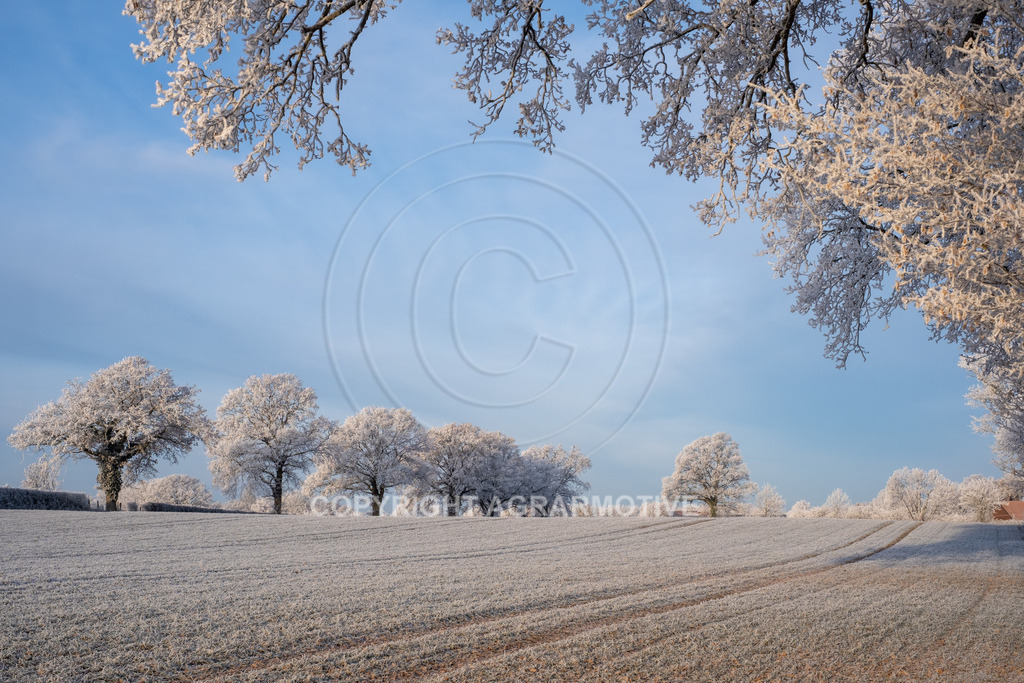 20221218-_DSF2517 | Schneebedeckte Landschaft bei eisiger Kälte - Realisiert mit Pictrs.com