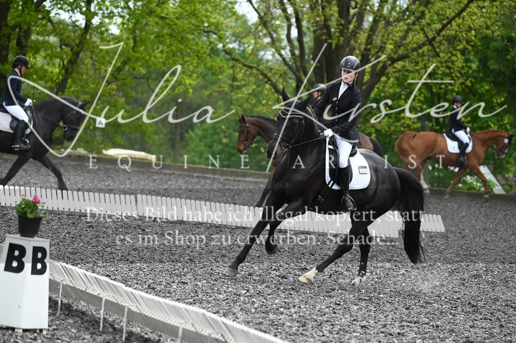 20230512_JK-Röhrsdorf-07-016 | Pferde- und Turnierfotografie in Westsachsen. Pferdeportraits, Auftragszeichnungen und intuitive Kunst.