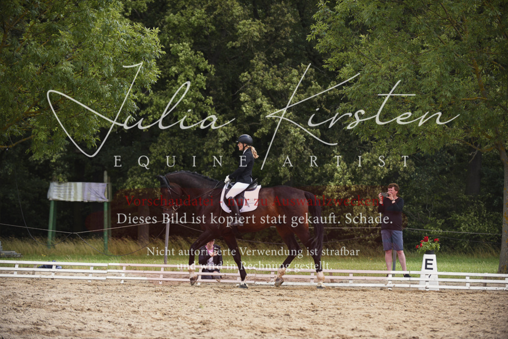 DSC_1204 | Pferde- und Turnierfotografie in Westsachsen. Pferdeportraits, Auftragszeichnungen und intuitive Kunst.