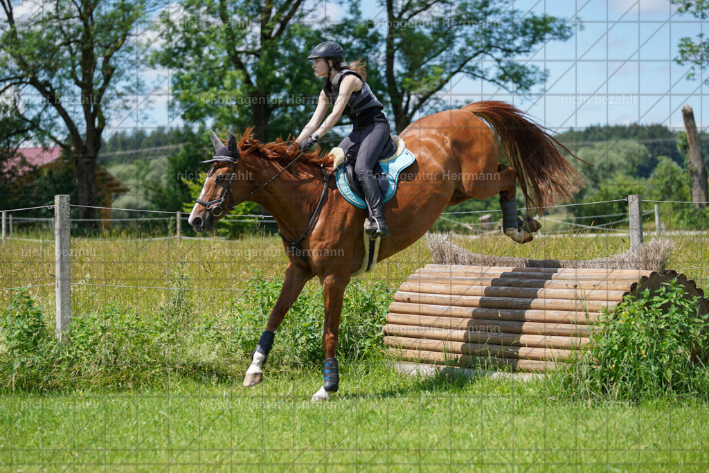 20240622-FAH06874 | Turnierfotografen Bayern, Reitsportbilder aus dem Geländekurs mit Felix Etzel auf dem Gut Waitzacker 2024