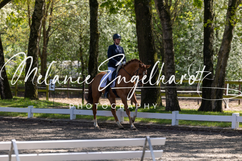 7I8A3818 | melanie-engelhardt-photography - Realisiert mit Pictrs.com