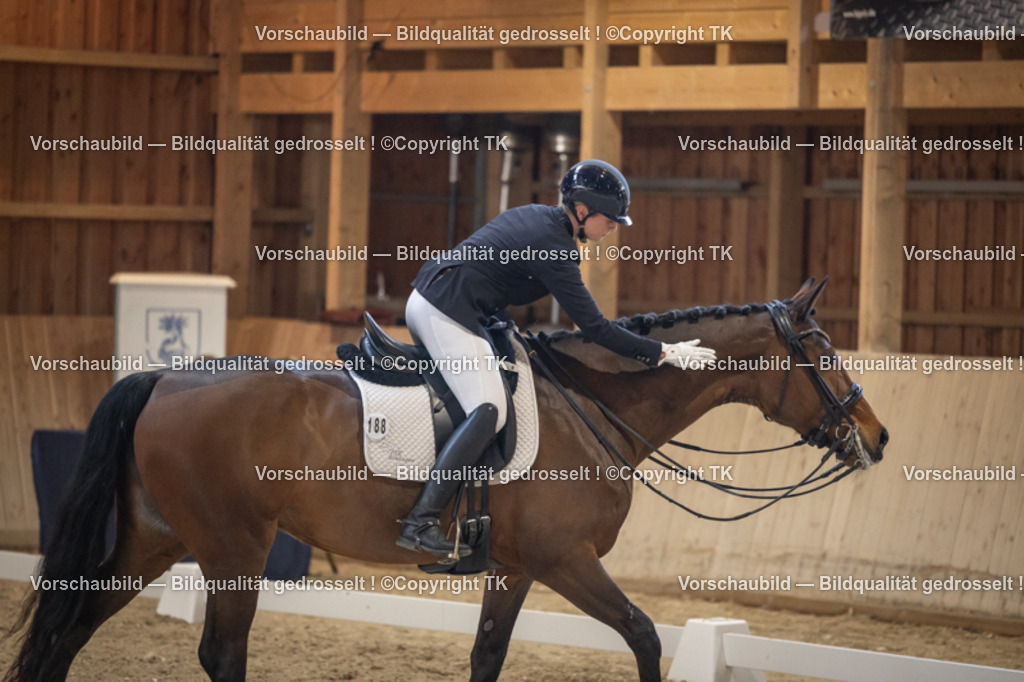 _D5A5935 | Emotionale Pferde- & People-Fotografie rund um Heidelberg, Leimen & Umgebung. Natürliche Fotos von Pferd, Mensch & Familie. Jetzt Termin sichern!