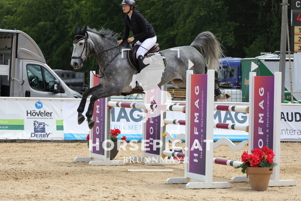 0P6A8204 | Willkommen bei Brunnmayr - Design & Fotografie – Ihrem Spezialisten für Reitturniere und Pferdeveranstaltungen in Oberösterreich, Salzburg und Bayern! Seit über 17 Jahren sind wir leidenschaftlich dabei.