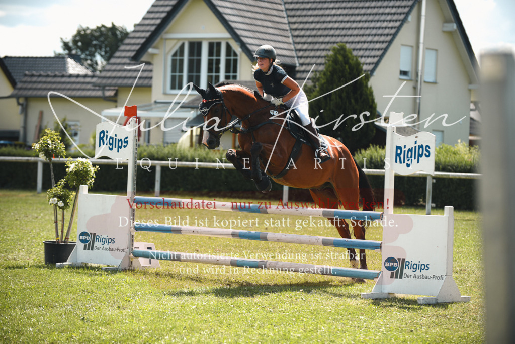 DSC_6478 | Pferde- und Turnierfotografie in Westsachsen. Pferdeportraits, Auftragszeichnungen und intuitive Kunst.