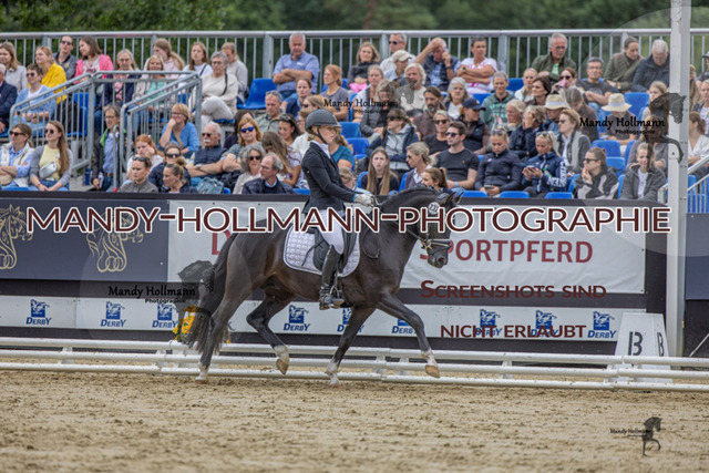 RPF 4j H (382 von 1519) | mandyhollmannphotographie
