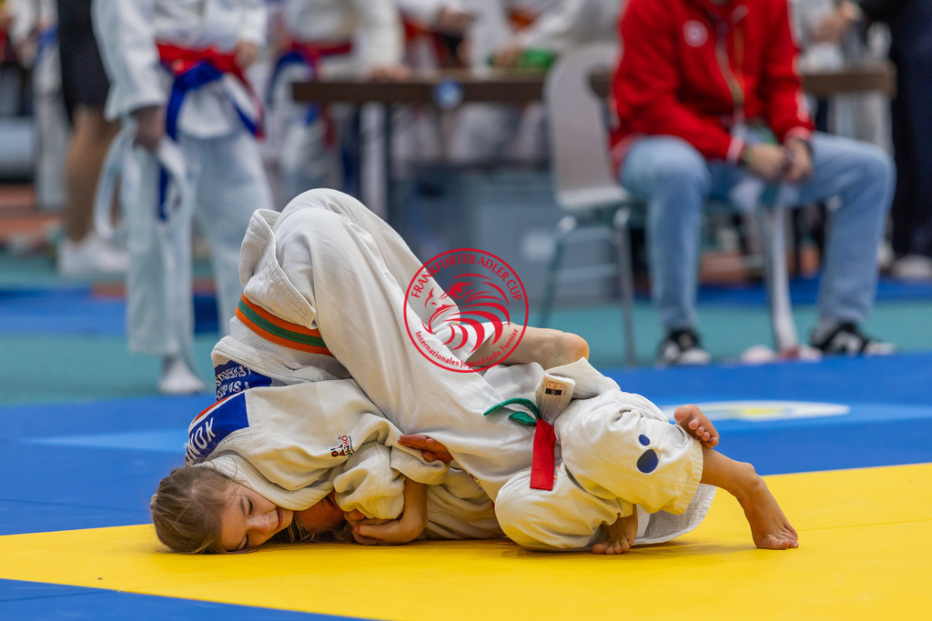 Internationaler Adler Cup 2024 | Foto vom Internationalen Adler Cup Judo Turnier im Sport- und Freizeitzentrum Kalbach im Oktober 2024 - Realisiert mit Pictrs.com