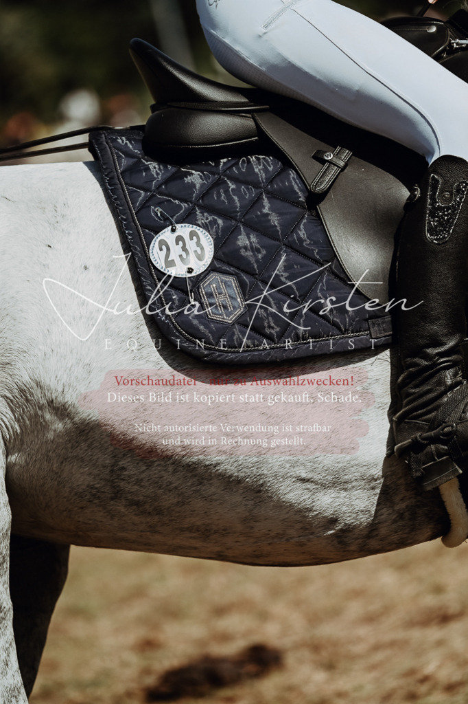 DSC_0028 | Pferde- und Turnierfotografie in Westsachsen. Pferdeportraits, Auftragszeichnungen und intuitive Kunst.