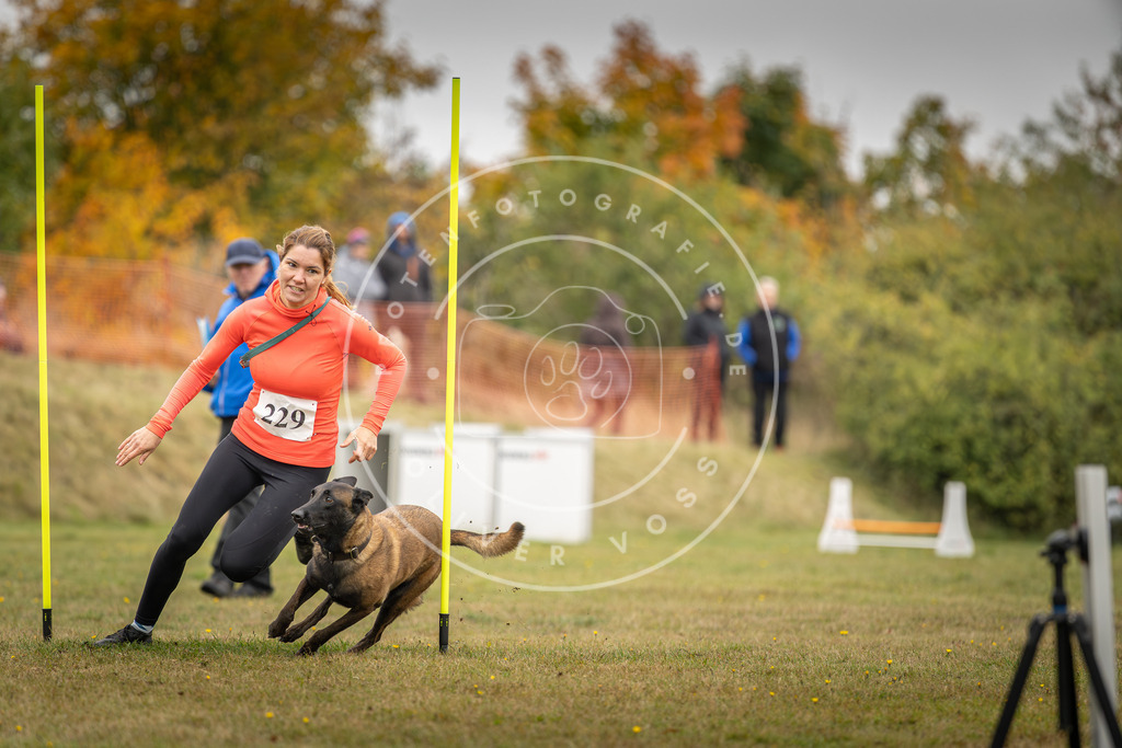 Pfotenfotografie_DV3A4108 | Hundefotografie, Tierfotograf, Pfotenfotografie, Fotoshooting Hund, Hunde Portrait, Hundesport, Hundeportraits, Heideshooting, Hunde, Sportfotograf, Hundefotograf, Turnierhundsport, THS,  - Realisiert mit Pictrs.com