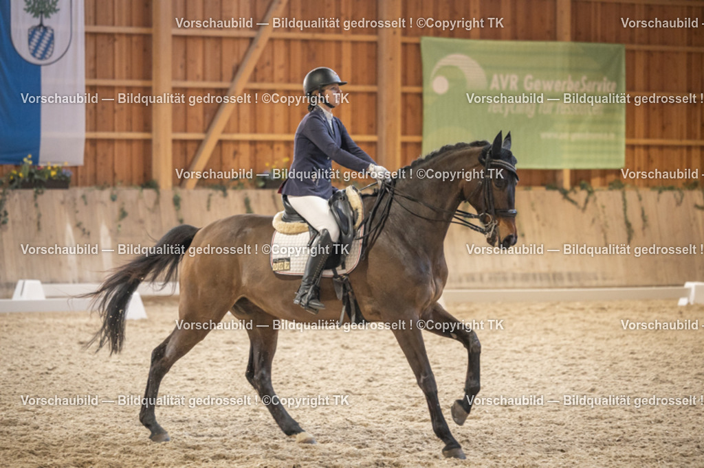 _D5A6643 | Emotionale Pferde- & People-Fotografie rund um Heidelberg, Leimen & Umgebung. Natürliche Fotos von Pferd, Mensch & Familie. Jetzt Termin sichern!