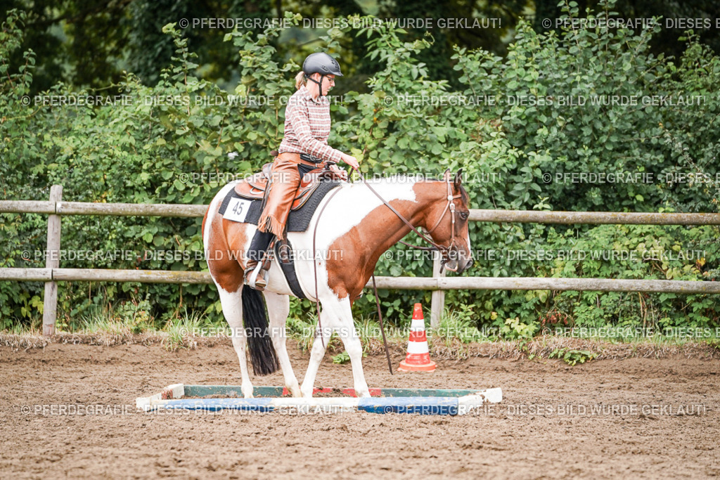 DSC04064 | Pferdegrafie