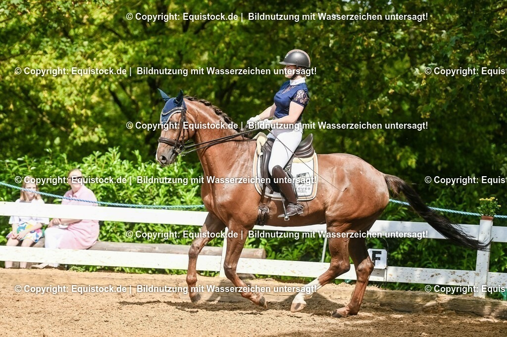 20230716_01_Dressurprüfung Kl.M_0365 | equistock