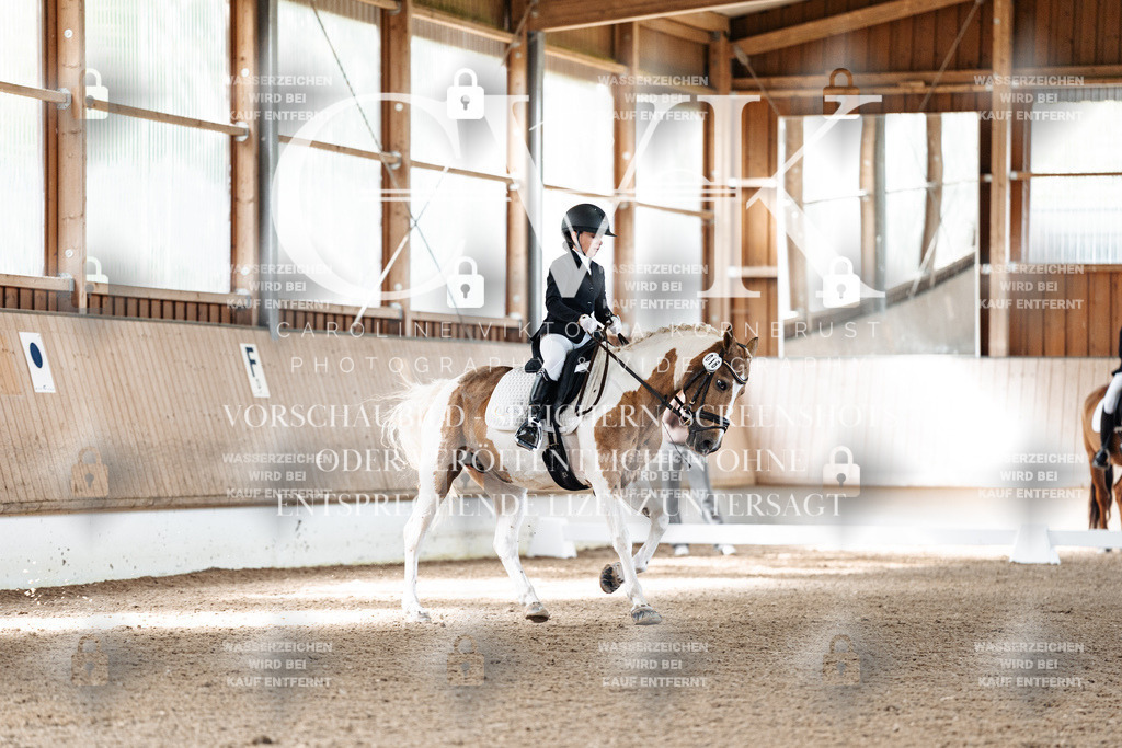 CK909609 | Turnierfotografie Pferdefotografie Trier Rheinland-Pfalz Pferdesport Reitsport Tierfotografie Sportfotografie Pferdevideo Pferdevideografie Equestrianvideography equestrianphotography  - Realized with Pictrs.com