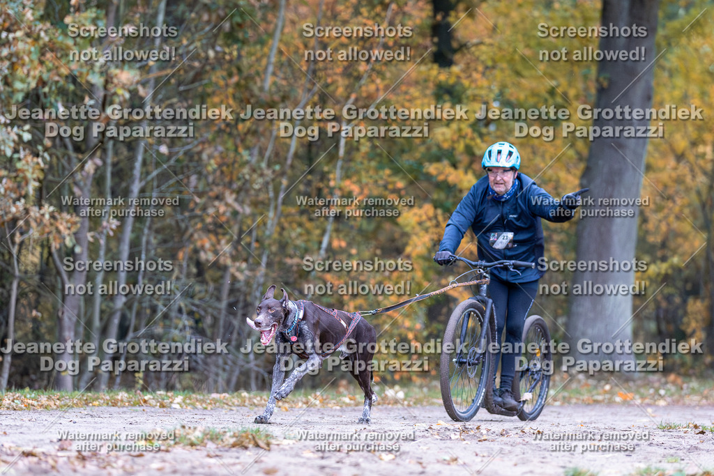 Dog Paparazzi - SD CaniX Championship 2025-10 | Dog Paparazzi Jeanette Grottendiek Fotografie & Videografie - Realisiert mit Pictrs.com