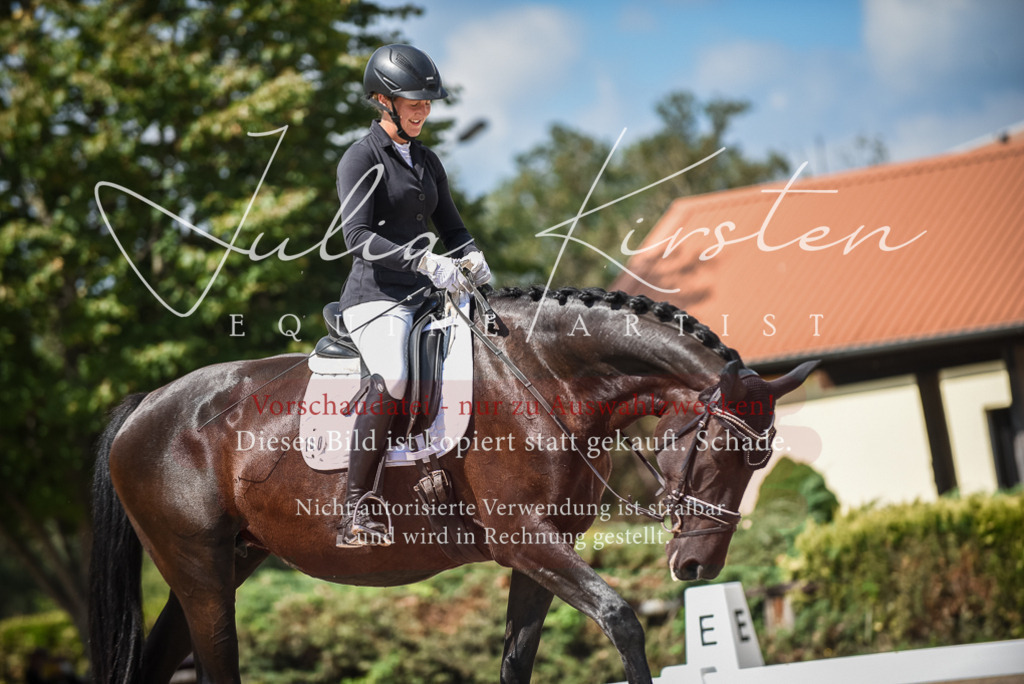 DSC_9079 | Pferde- und Turnierfotografie in Westsachsen. Pferdeportraits, Auftragszeichnungen und intuitive Kunst.
