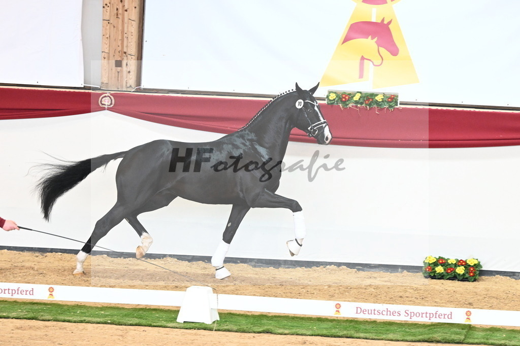 Kat.-Nr. 70 v. Totilas_Fischer_2241043 | hf-fotografie - Realisiert mit Pictrs.com