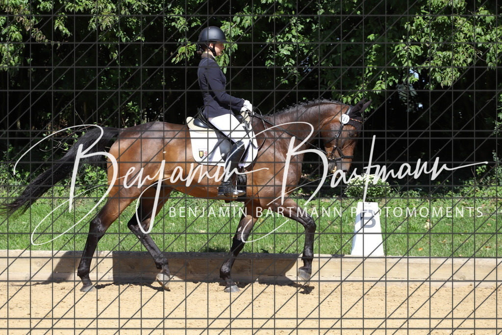 IMG_6047 | Benjamin Bartmann Photomoments