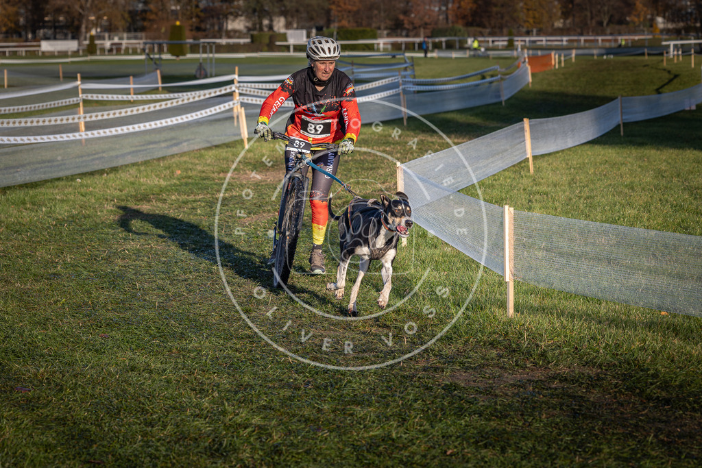 CaniXpix_0L8A3873 | Hundefotografie, Tierfotograf, Pfotenfotografie, Fotoshooting Hund, Hunde Portrait, Hundesport, Hundeportraits, Heideshooting, Hunde, Sportfotograf, Hundefotograf, Turnierhundsport, THS,  - Realisiert mit Pictrs.com