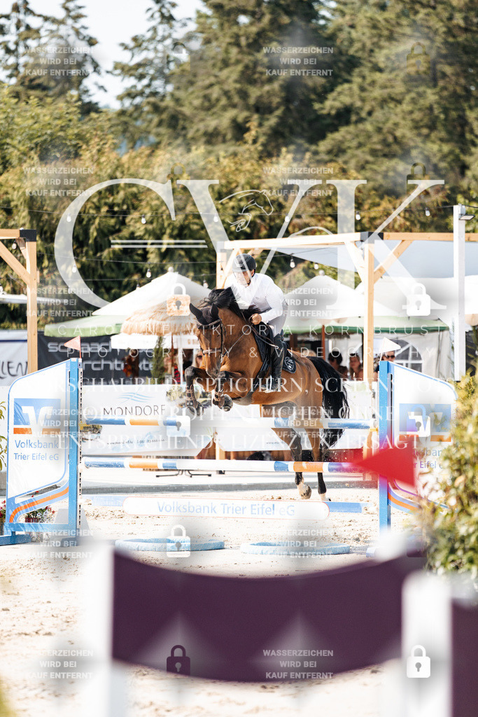 CK901680 | Turnierfotografie Pferdefotografie Trier Rheinland-Pfalz Pferdesport Reitsport Tierfotografie Sportfotografie Pferdevideo Pferdevideografie Equestrianvideography equestrianphotography  - Realisiert mit Pictrs.com