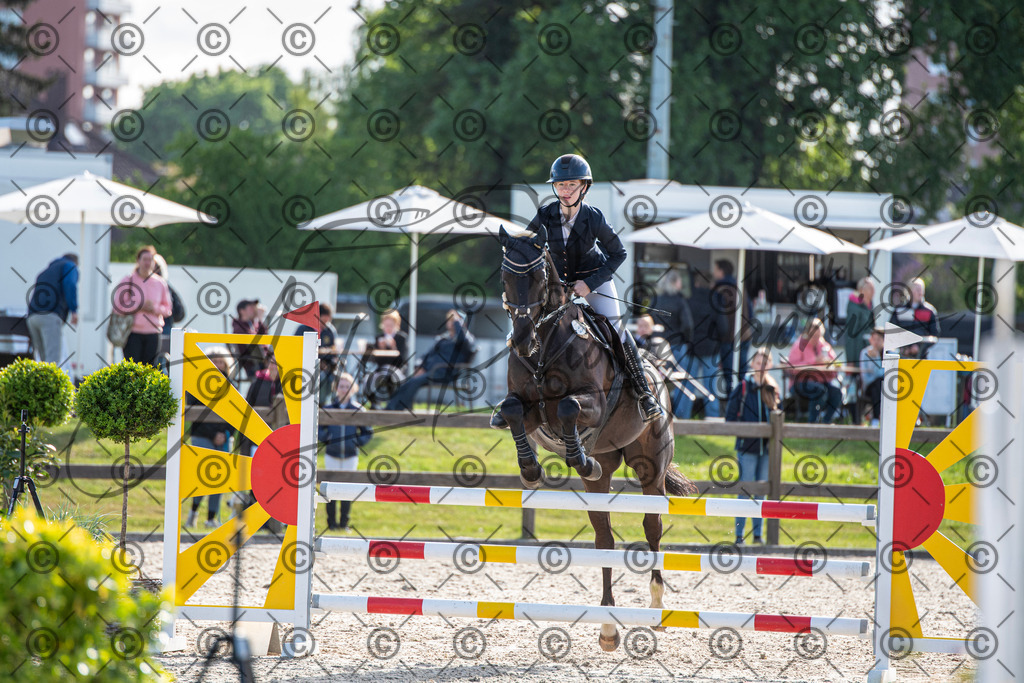 KPT_4427 | andre_photographic