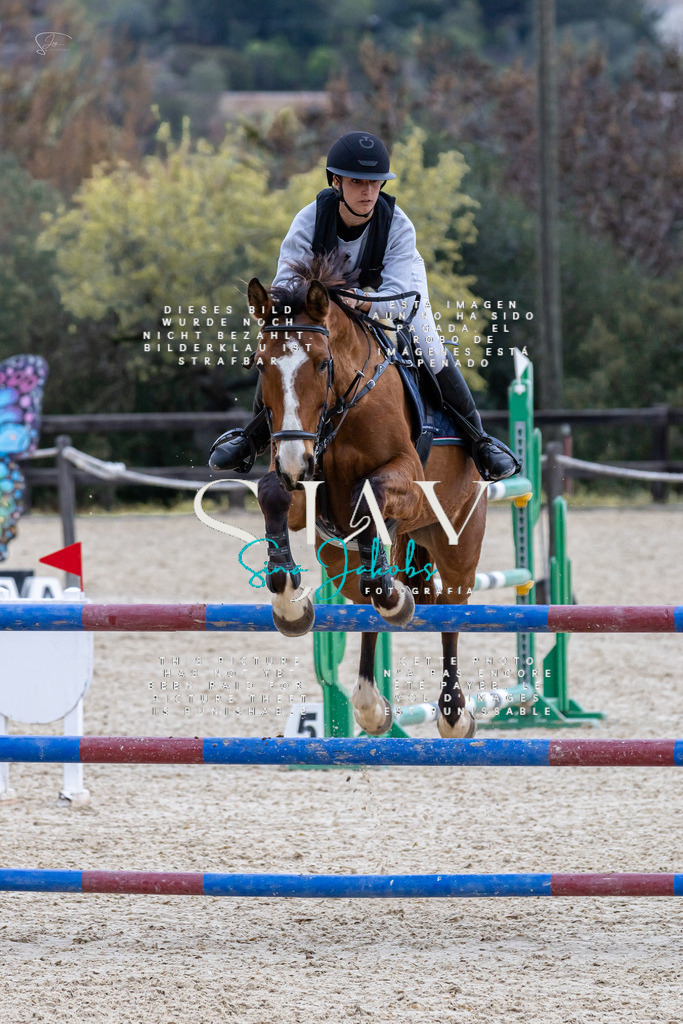 IMG_4218 | s-jay-photography - Realisiert mit Pictrs.com