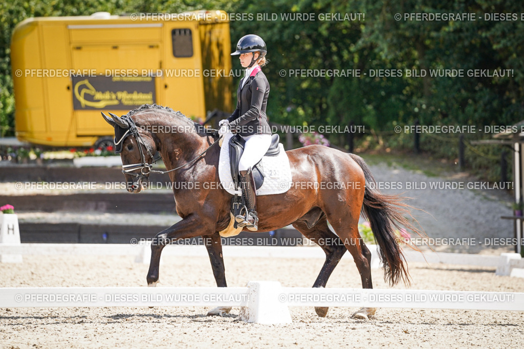 DSC01516 | Pferdegrafie