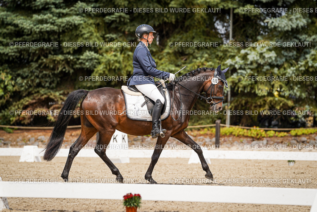 DSC04295 | Pferdegrafie