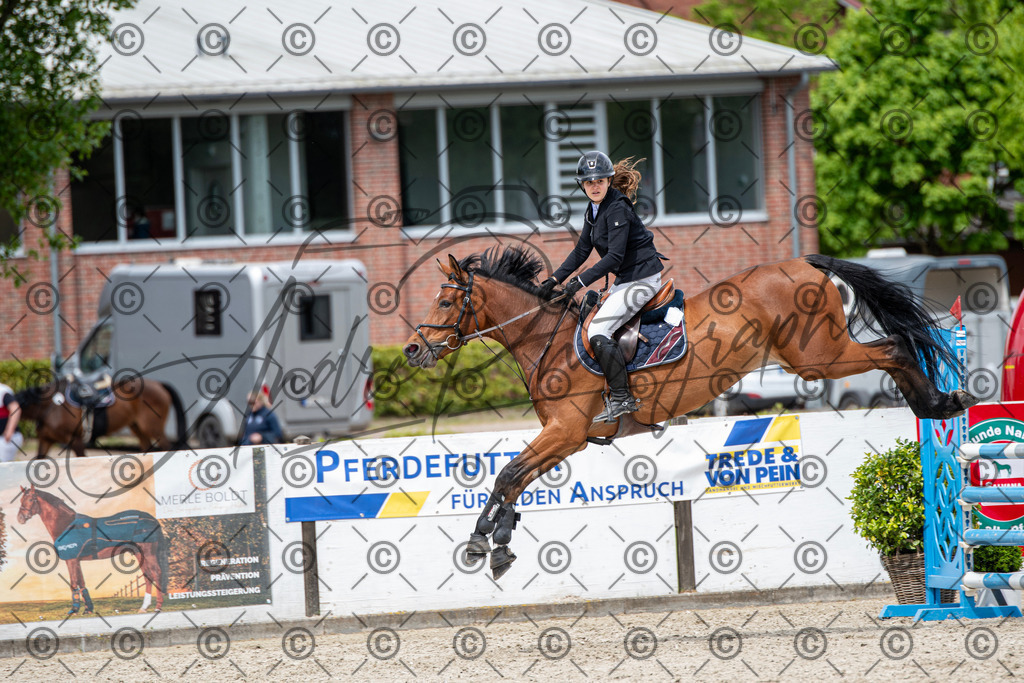 KPT_5746 | andre_photographic