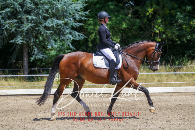 DKP46328 | Turniersportfotografie; Pferdefotografie; Dressurfotografie