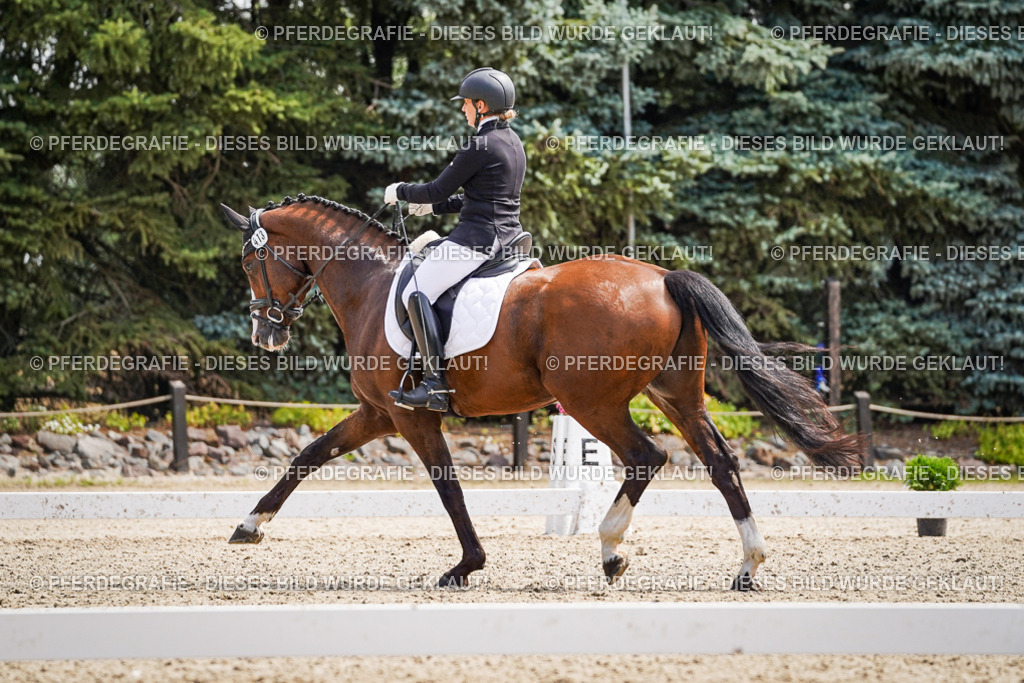 DSC00394 | Pferdegrafie