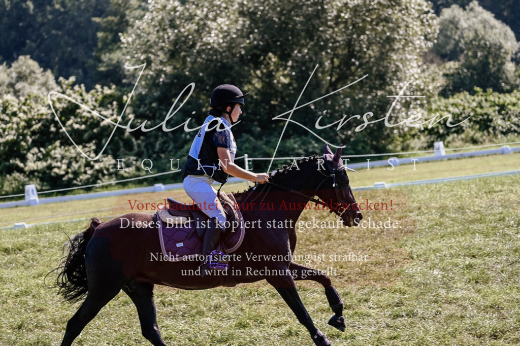 DSC_1959 | Pferde- und Turnierfotografie in Westsachsen. Pferdeportraits, Auftragszeichnungen und intuitive Kunst.