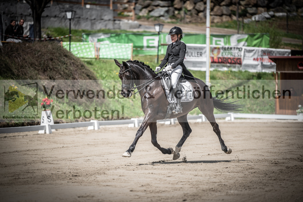 DSC_1652 | equestrian-live-com