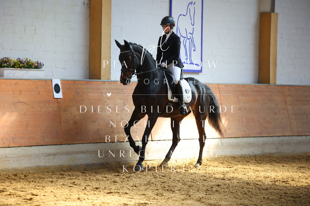 IMGT7072 | pl-fotografie