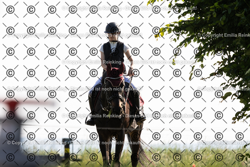 CL5A1276 | Emilia Reinking Fotografie - Realisiert mit Pictrs.com