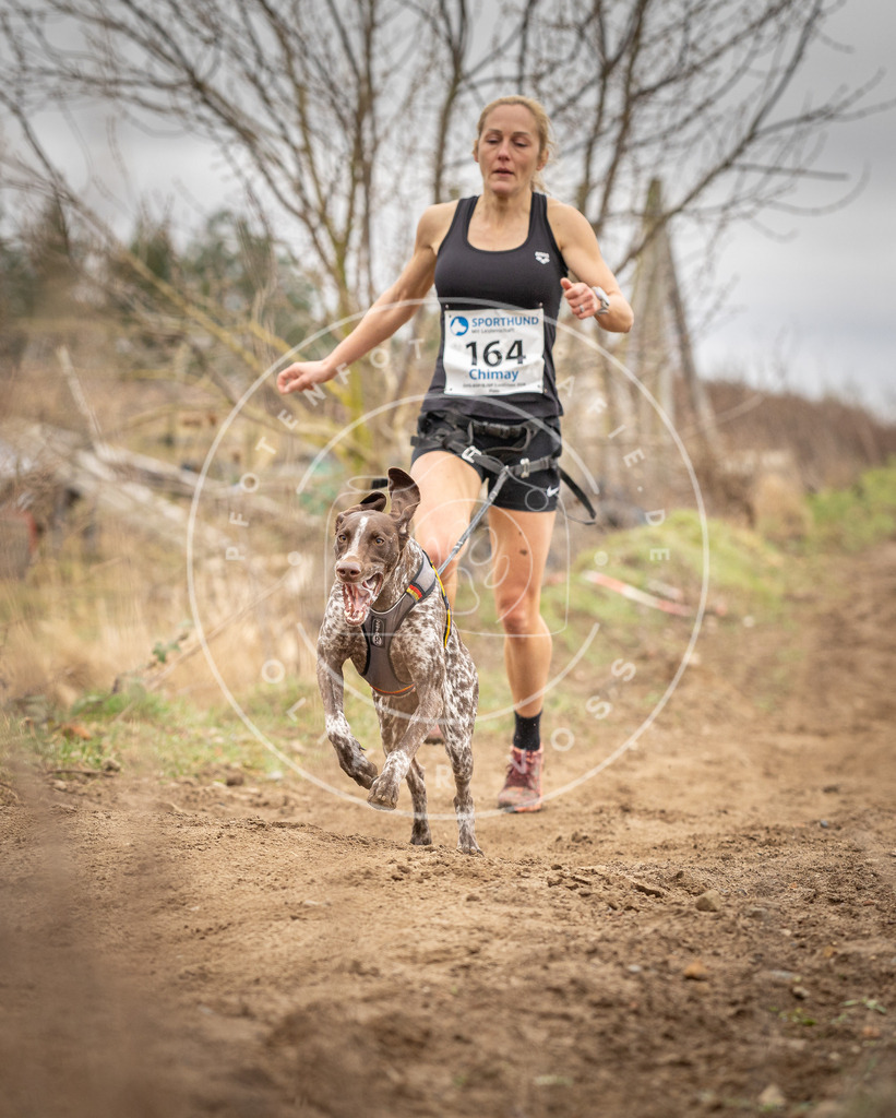DV3A1798 | Hundefotografie, Tierfotograf, Pfotenfotografie, Fotoshooting Hund, Hunde Portrait, Hundesport, Hundeportraits, Heideshooting, Hunde, Sportfotograf, Hundefotograf, Turnierhundsport, THS,  - Realisiert mit Pictrs.com