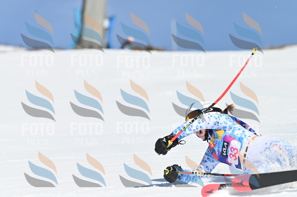 BGV_8208 | holidayphoto