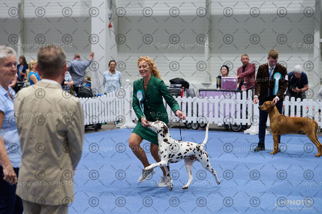 202406_ÖKV-IHA-Tulln24_DSC_3104 | proPHOTO - Realisiert mit Pictrs.com