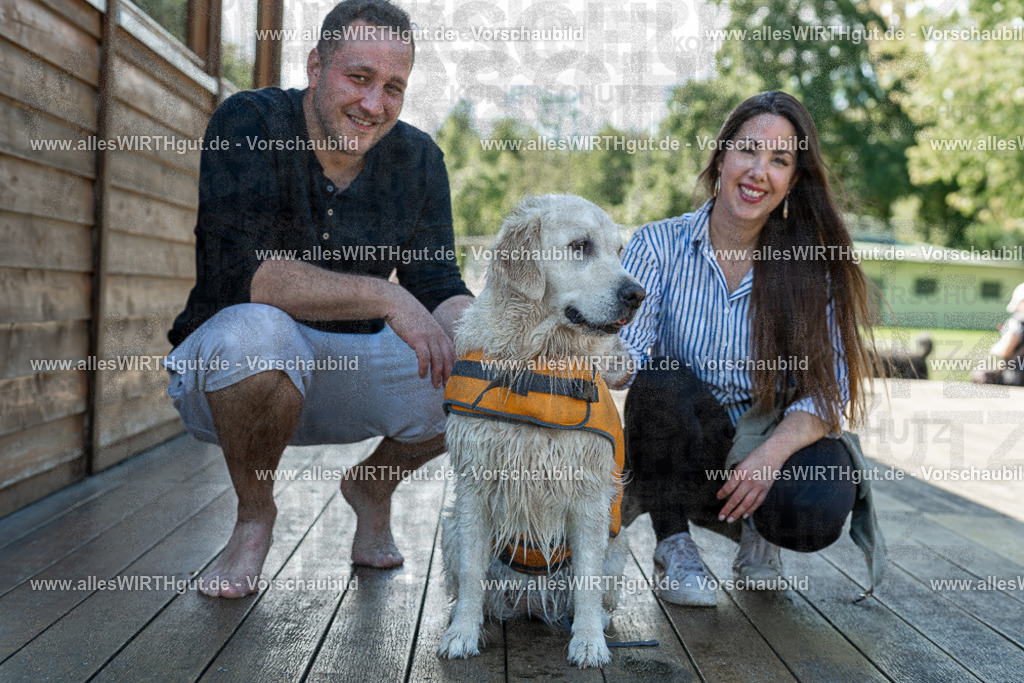 Hundeschwimmen_Volksbad_2026-allesWIRTHgut_Tierfotografie-2609061344-7R500922 | Professionelle Tierfotografie in Mönchengladbach von Daniel Wirth (allesWIRTHgut). Liebevolle & natürliche Bilder von Hunden & Katzen für unvergessliche Erinnerungen.