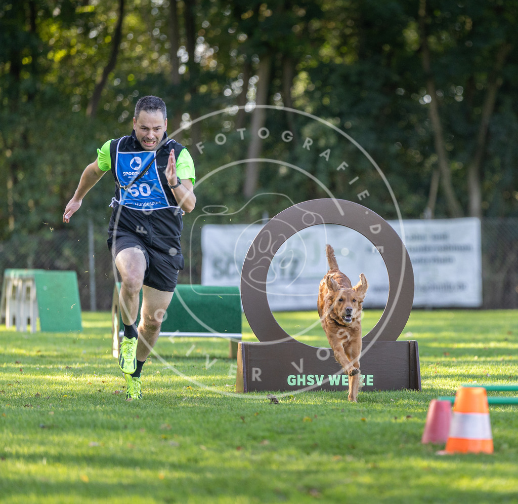 Pfotenfotografie.de_DV3A3666 | Hundefotografie, Tierfotograf, Pfotenfotografie, Fotoshooting Hund, Hunde Portrait, Hundesport, Hundeportraits, Heideshooting, Hunde, Sportfotograf, Hundefotograf, Turnierhundsport, THS, canicross - Realisiert mit Pictrs.com