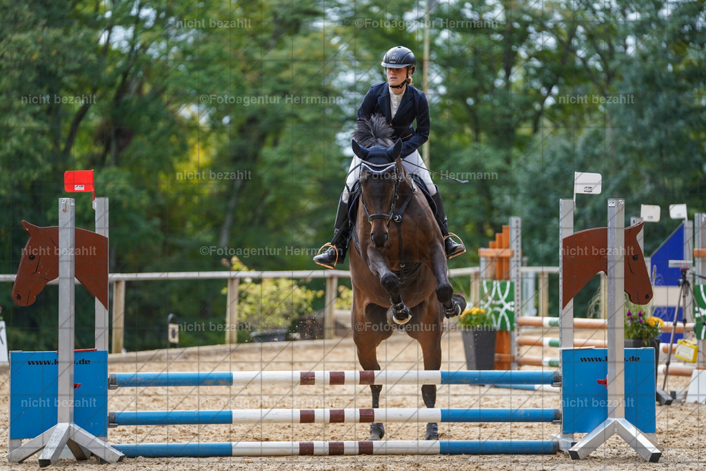 20231008-SN_01068 | Professionelle Turnier- und Reitsportfotografie - mit dem Finger am Auslöser. Pferdebilder aus dem Reitsport von den Turnierfotografen  Bayern , Pferdefotograf Bayern, Pferdeshooting Turnierbilder, Hochzeitsfotograf, Eventfotograf, Hochzeitsbilder