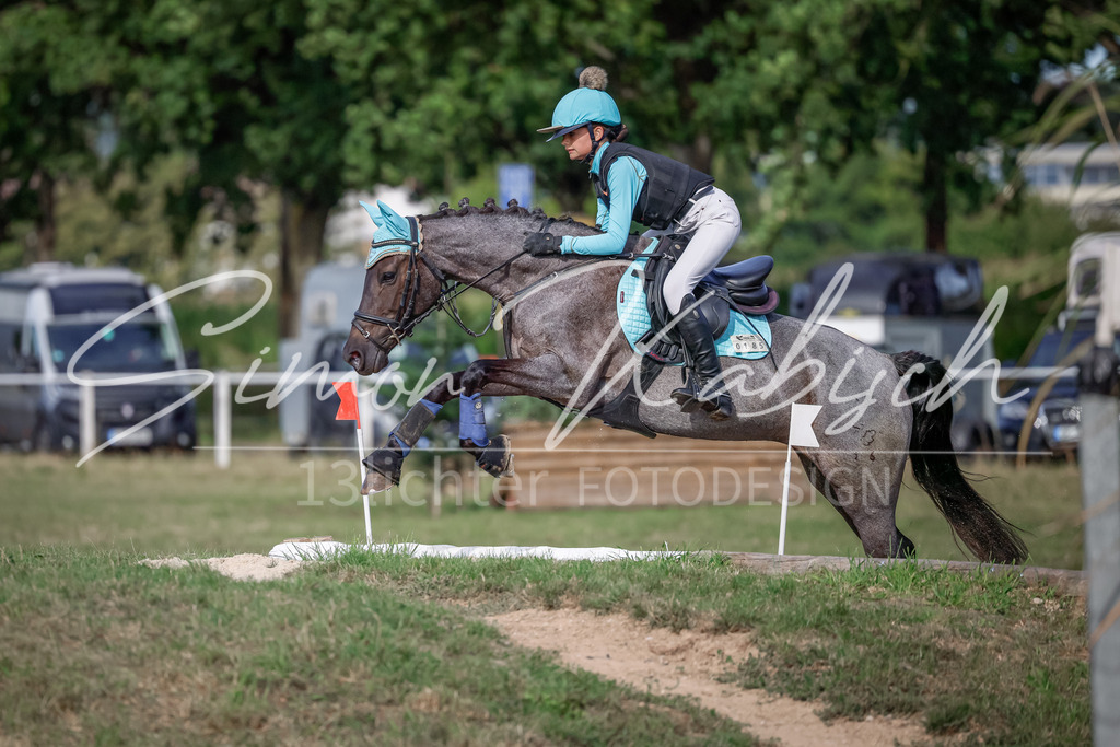20250907-_3LI9223 | Tierfotografie Pferde, Hunde, Katzen, Haustiere.
Turnierfotografie Reitturniere, Reiten, Springreiten, Dressur in Hanau, dem Main-Kinzig-Kreis und dem Rhein-Main- Gebiet um Frankfurt