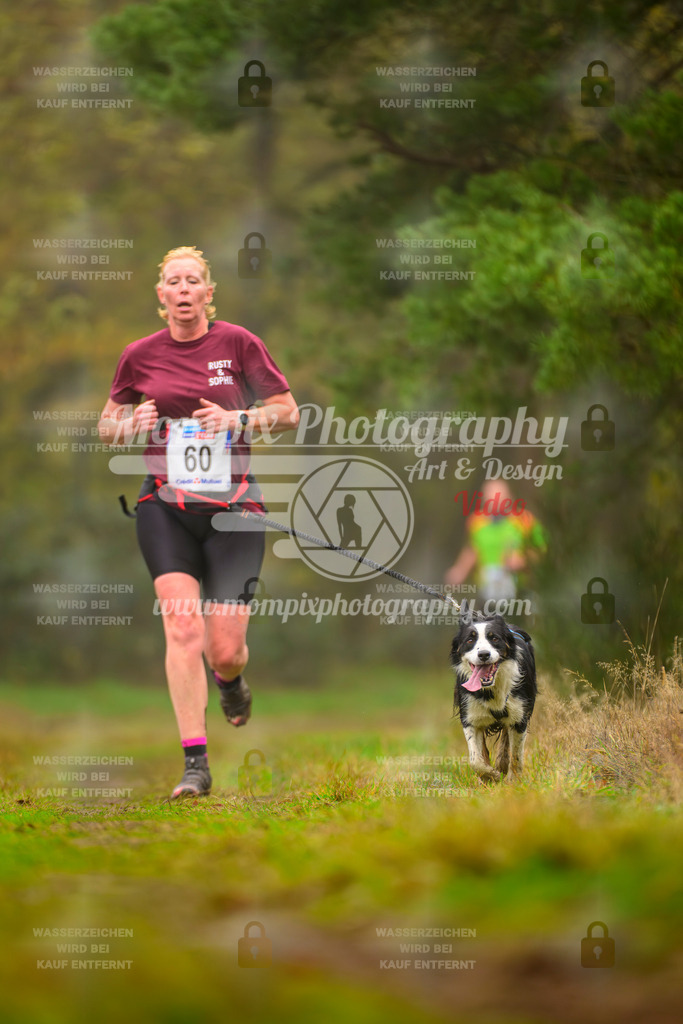 MompixPhotography_Bischwiller2025_Canicross-108 | mompixphotography