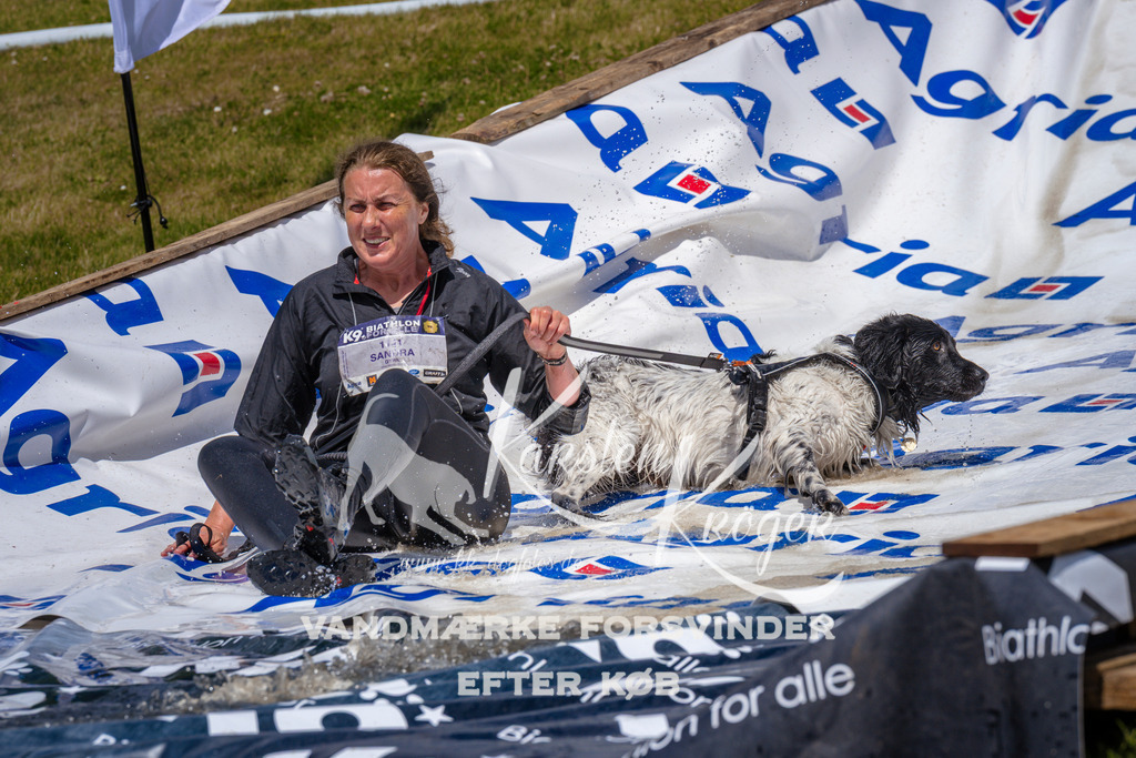 _ZZ990441049 | kk-dogfotos