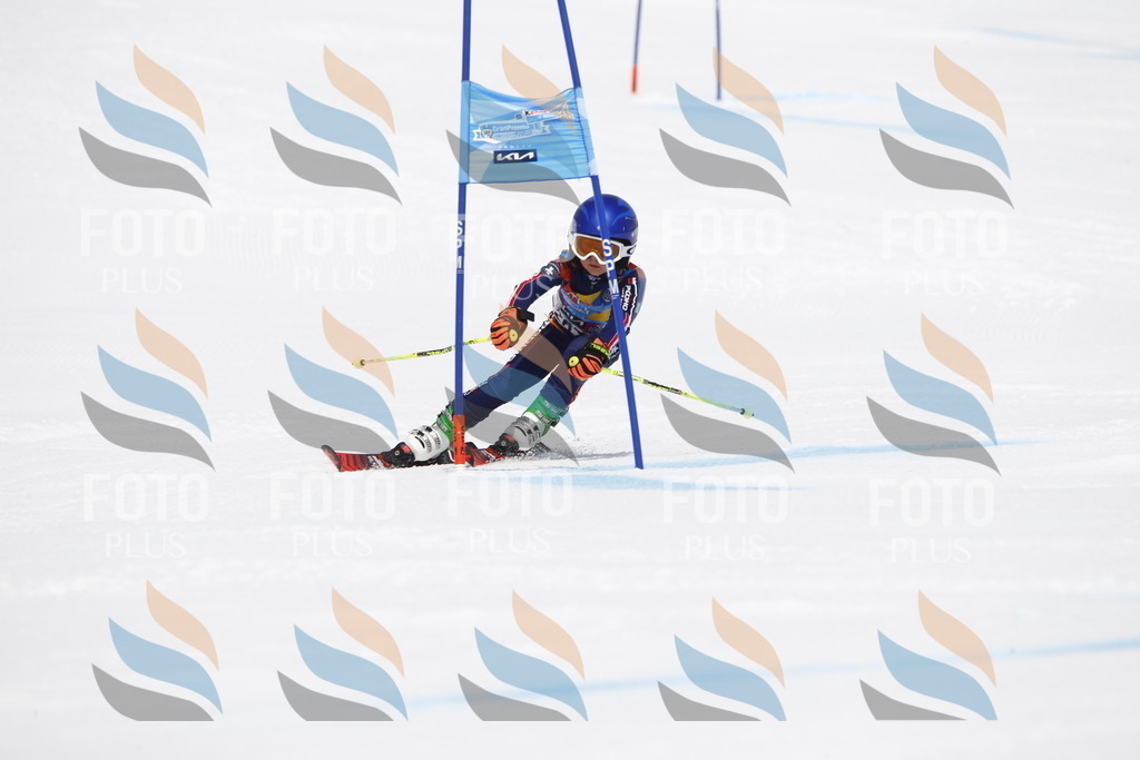 _U3G6692 | holidayphoto