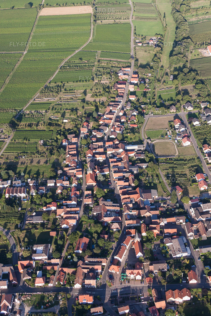 Luftbild: Ortsansicht der Straßen und Häuser der Wohngebiete in Oberotterbach im Bundesland Rheinland-Pfalz in Deutschland. Foto: IMG_51255.jpg vom 04.08.2012 durch Werner Riehm/FLY-FOTO.de