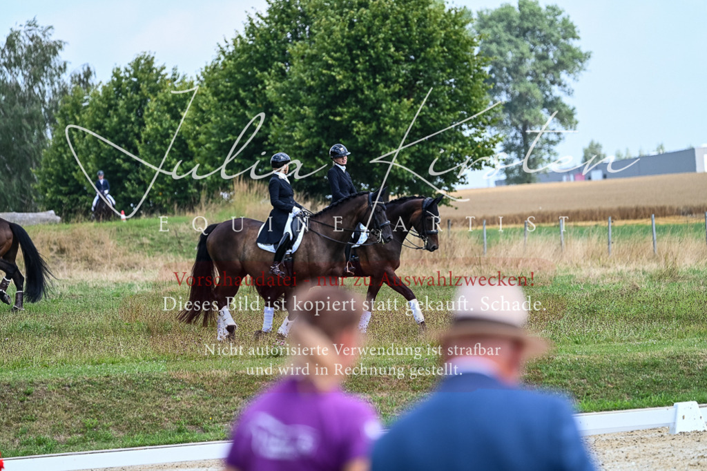 DSC_2635 | Pferde- und Turnierfotografie in Westsachsen. Pferdeportraits, Auftragszeichnungen und intuitive Kunst.