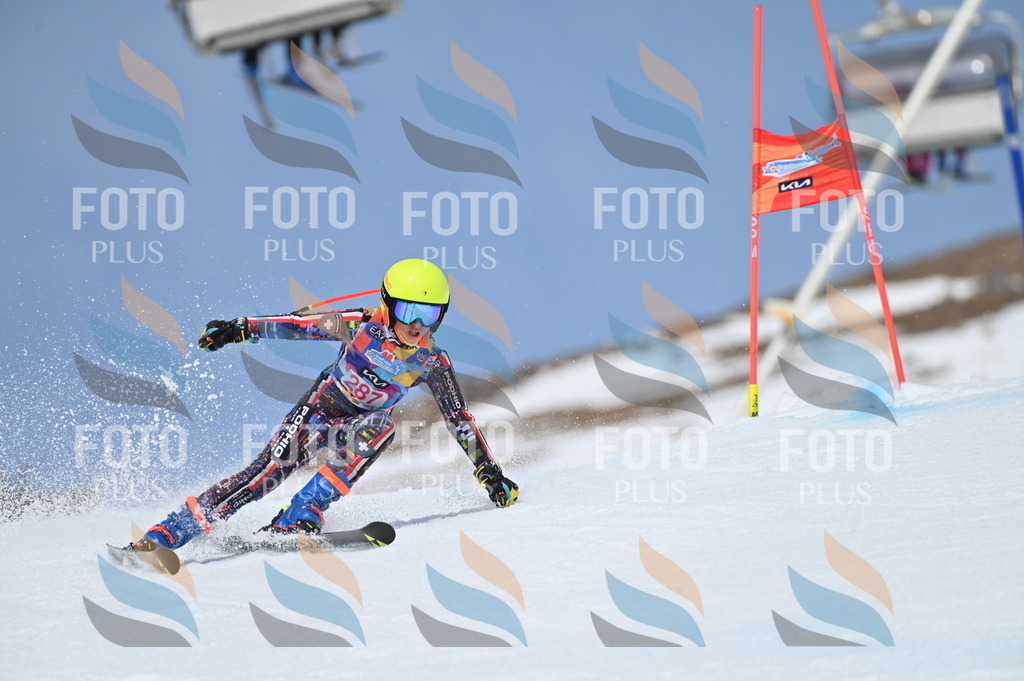 BGV_2546 | holidayphoto