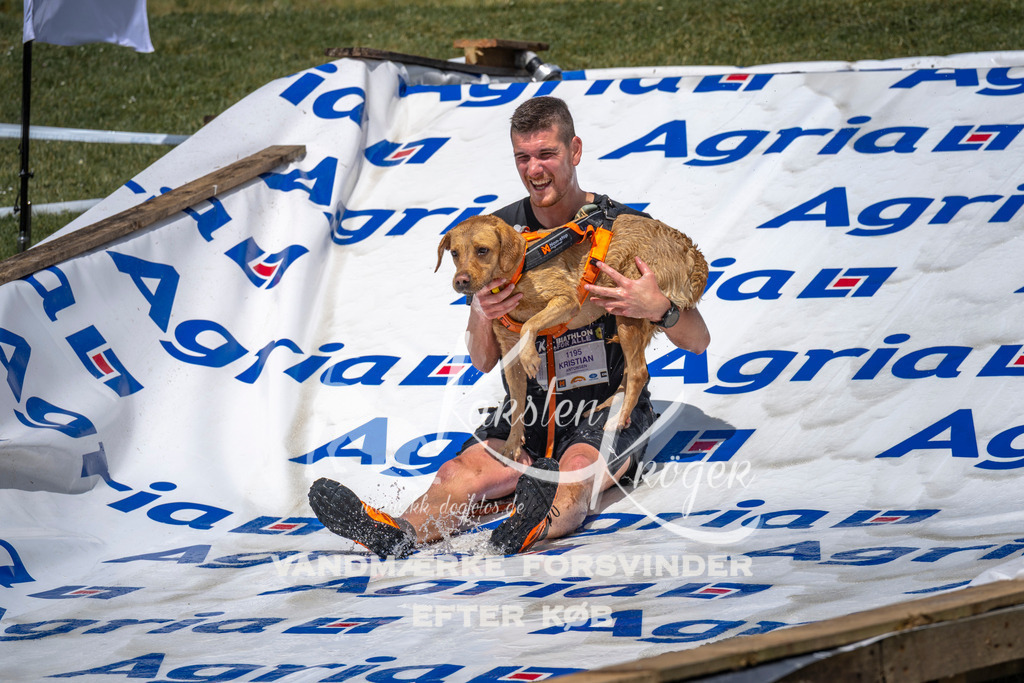 1109_ZZ91133 | kk-dogfotos